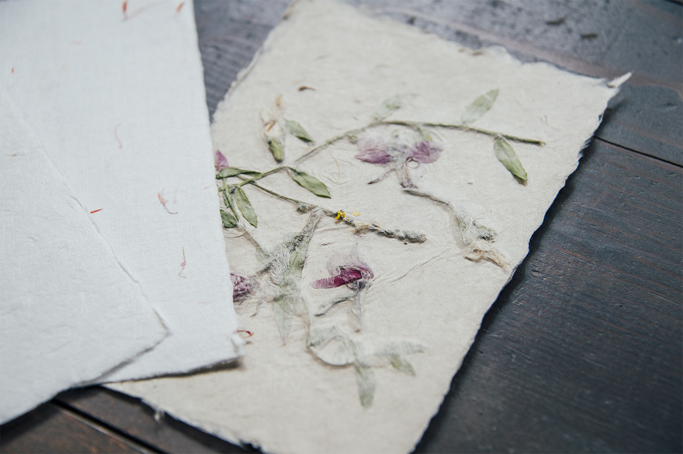 Photo：能登半島 2017