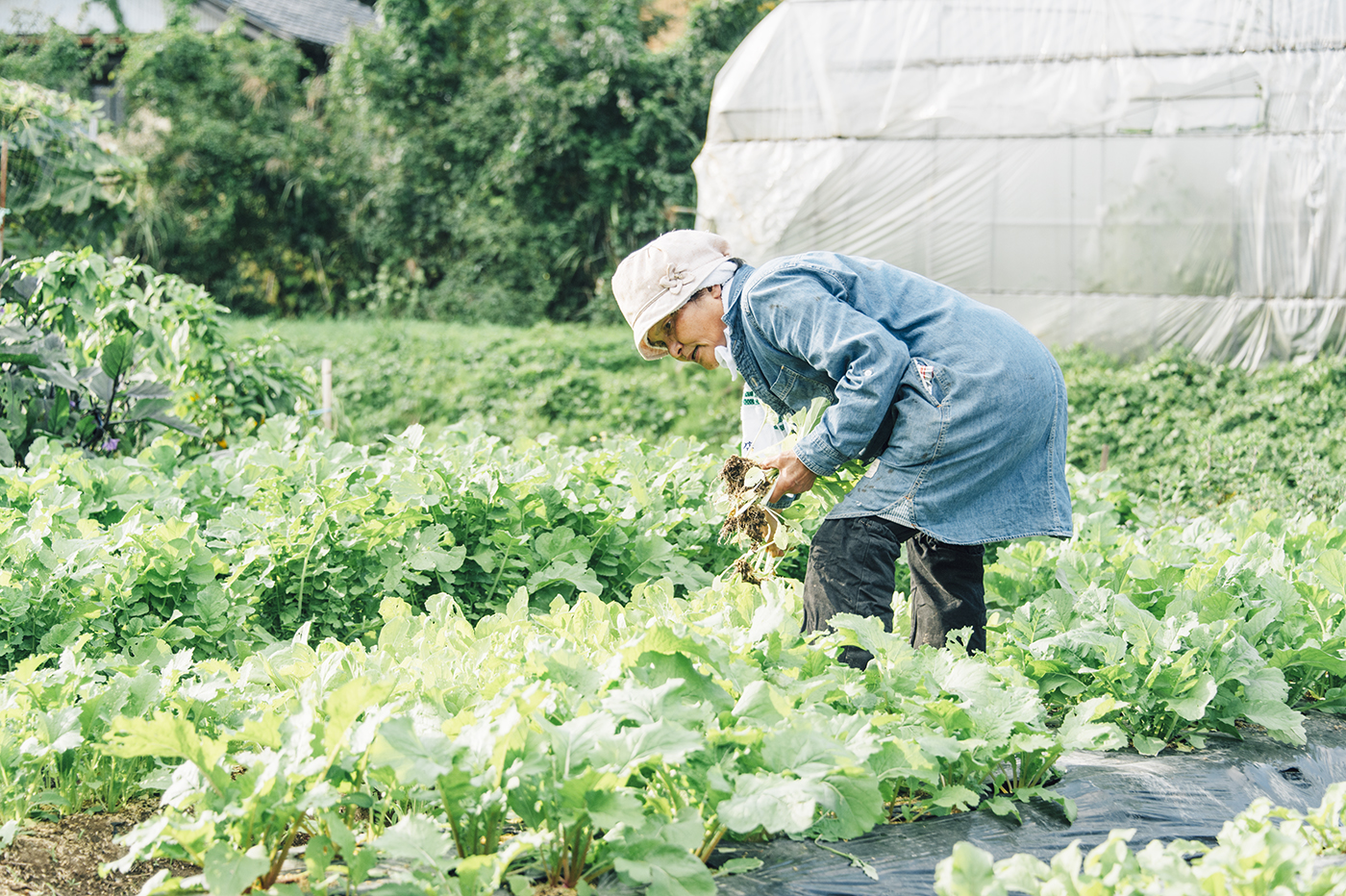 Photo：能登半島 2017