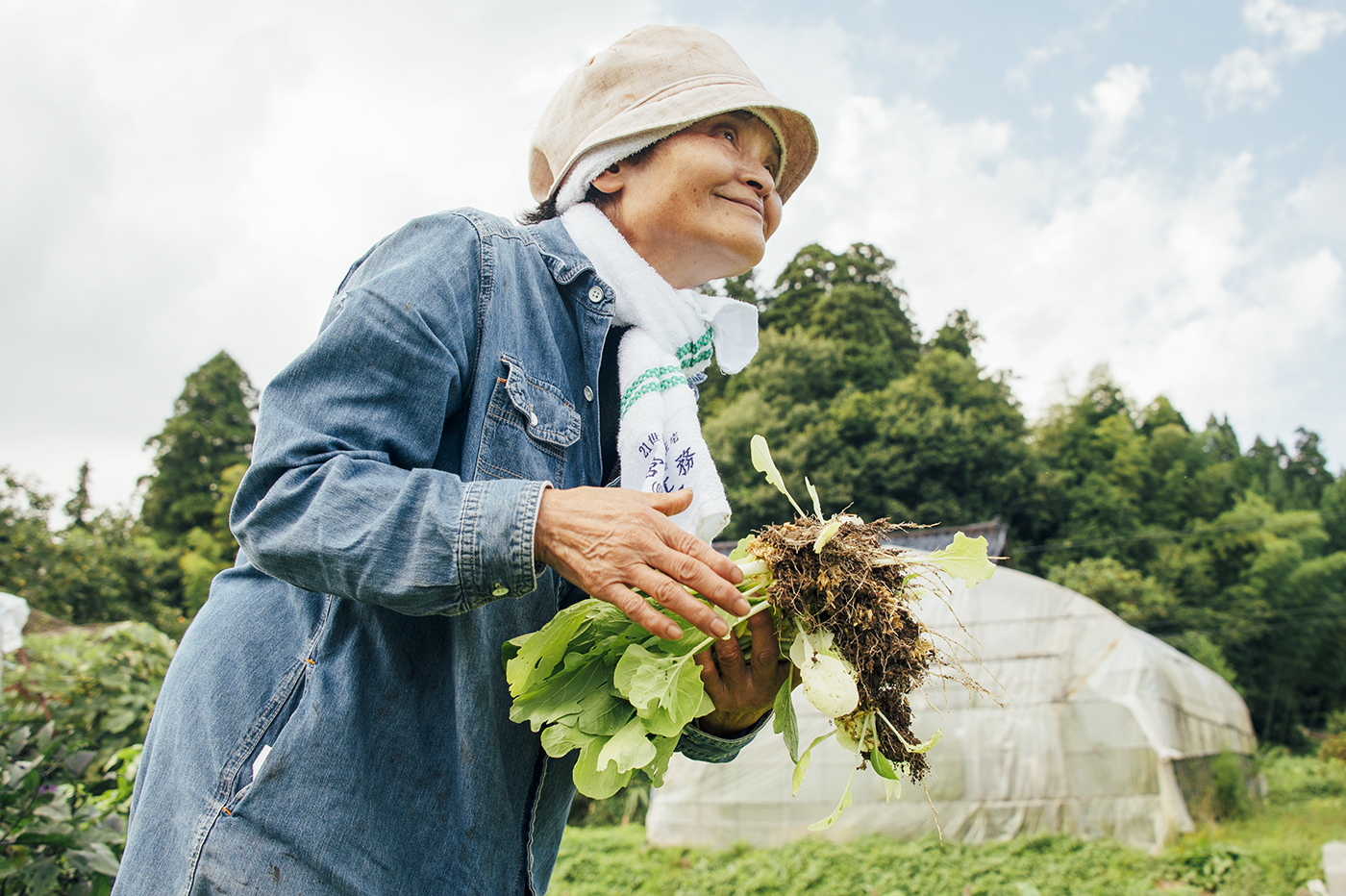 Photo：能登半島 2017