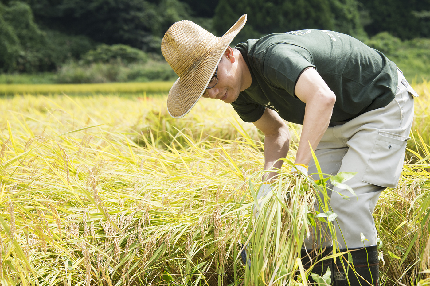 Photo：能登半島 2017