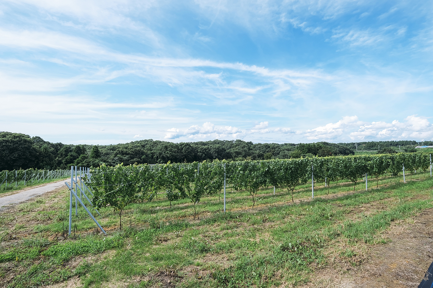 Photo：能登半島 2019