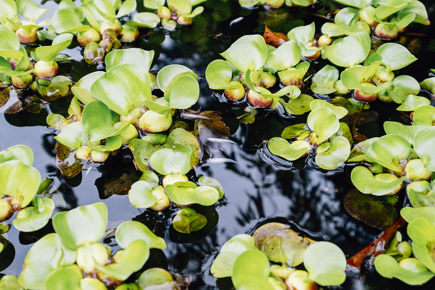 Photo：能登半島 2019