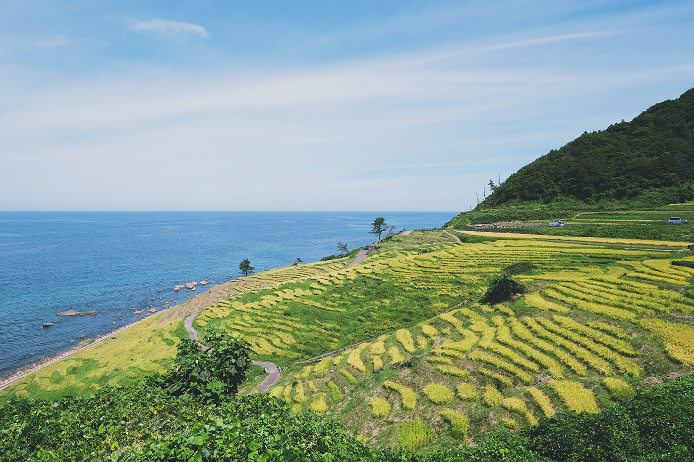 Photo：能登半島 2019