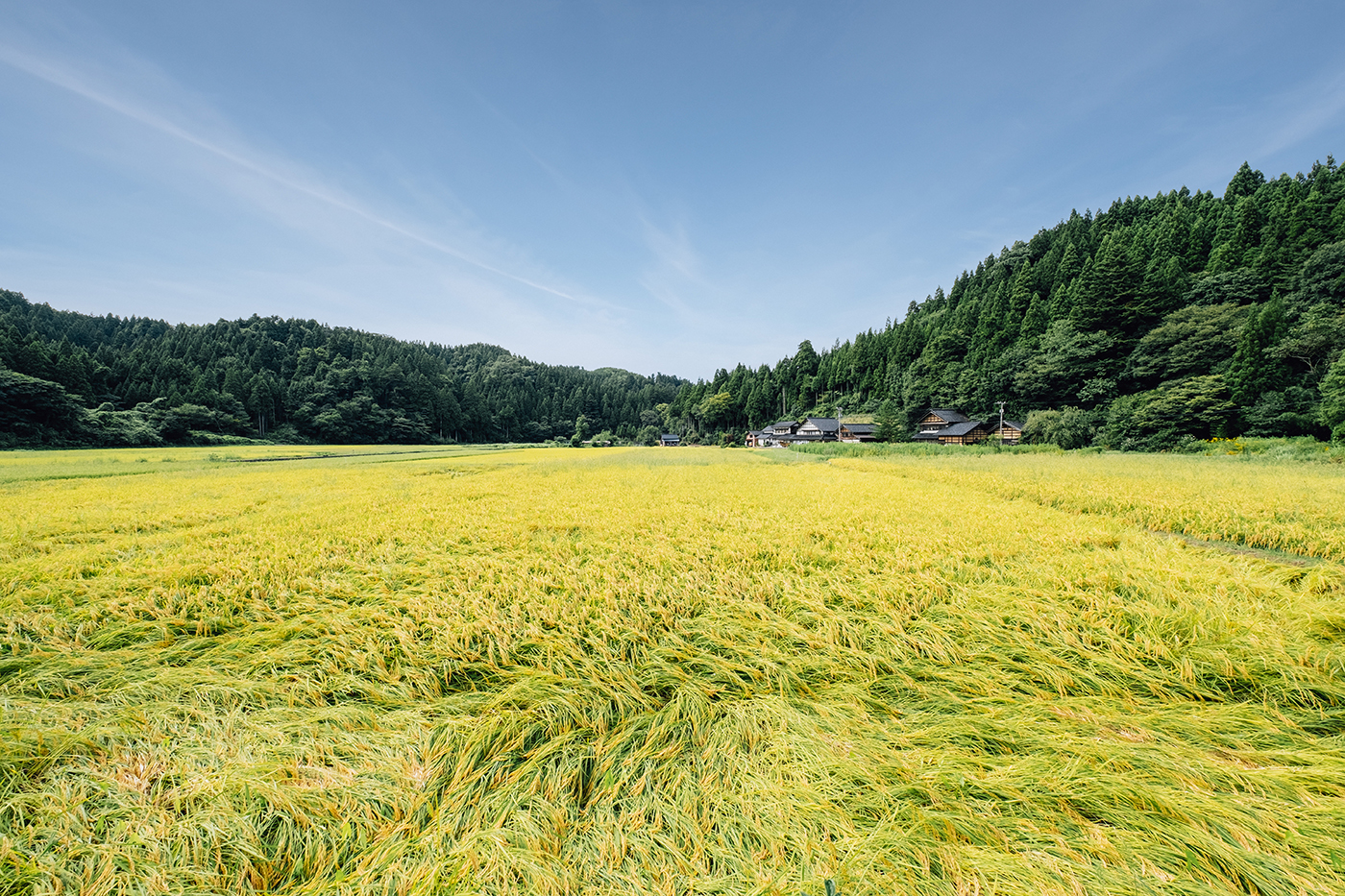 Photo：能登半島 2019